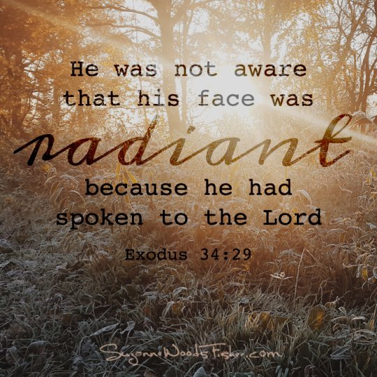 Moses' Radiant Face