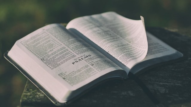 Bible Psalms