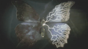 Butterfly Effect Animated